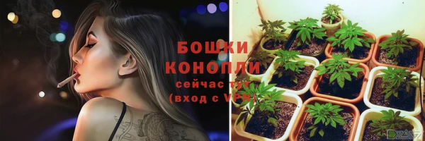 MESCALINE Вяземский